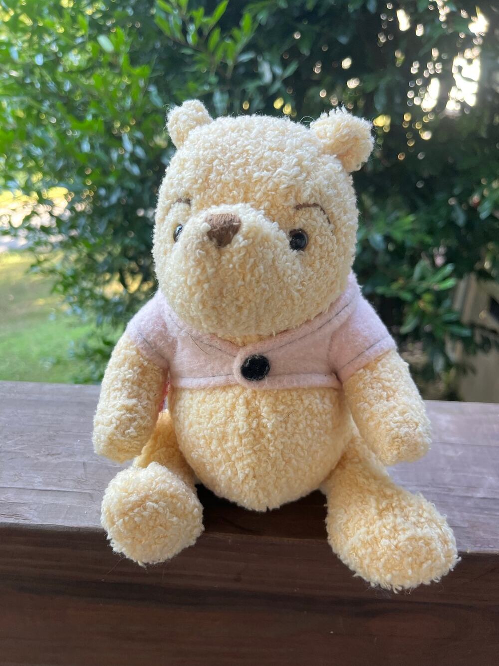 Disney Store Classic Winnie the Pooh Plush Cream Curly Fur Pink Shirt 7.5in